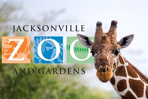 Das Jacksonville Zoo and Gardens: Ein Abenteuer für die Sinne und den Tierliebhaber!