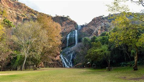  Das Walter Sisulu National Botanical Garden: Ein Paradies für Naturliebhaber und Vogelbeobachter!