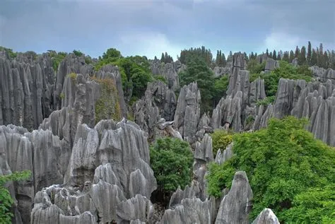 Der Shuangfeng-Steinwald: Mystische Felsformationen und spirituelle Stille!